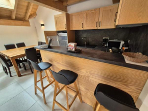 Duplex lumineux 8 pers, proche pistes, animaux ok - FR-1-811-29 Les Deux Alpes